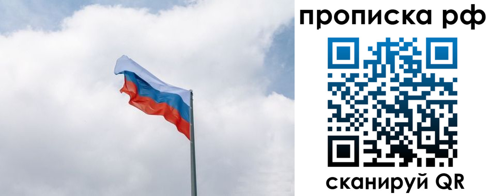 прописка гарантия в Гагарине
